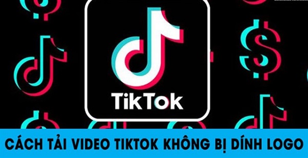 Cách tải video Tik Tok không logo trên điện thoại chi tiết nhất 1